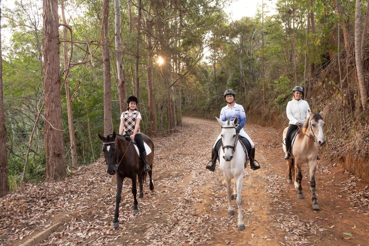 Haras Morena Resort Жуиз де Фора Екстериор снимка